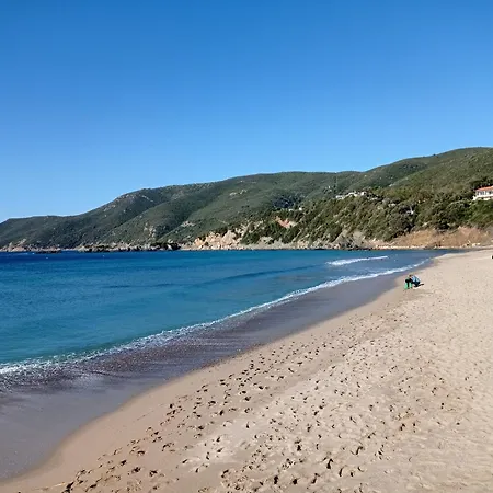 La Mi' Elba *