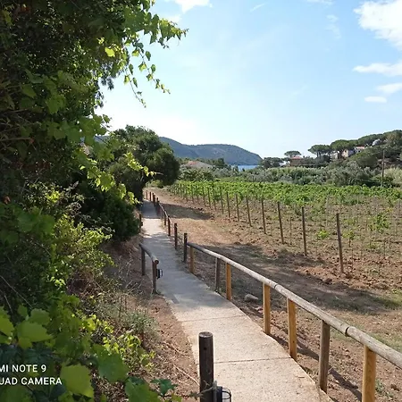 Appartement La Mi' Elba Lacona